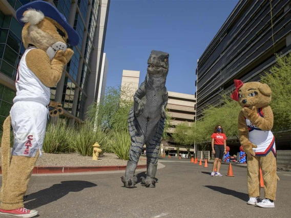 Wilbur and Wilma contemplate whether a T-Rex would rather eat a Wildcat or a Sun Devil at the entrance to the Connect2STEM drive-through event. 