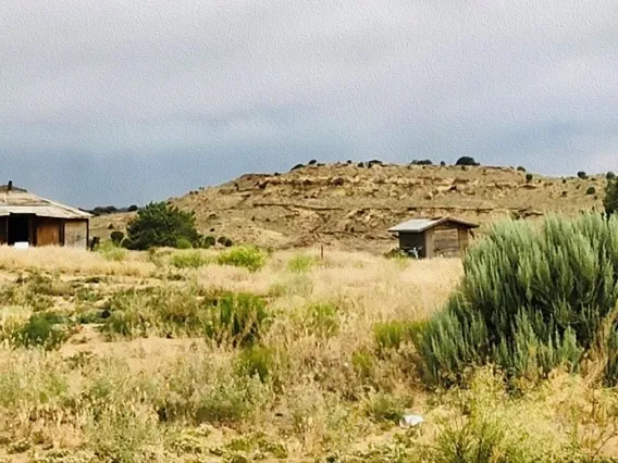 Medical students from the College of Medicine – Phoenix deliver essential supplies to residents of the Navajo Nation during the COVID-19 pandemic.