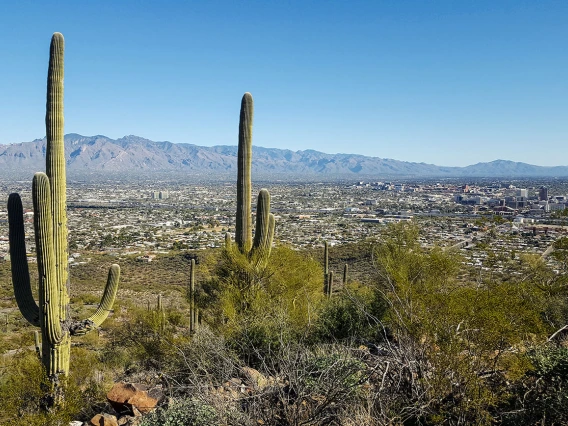 The arid climate of the Southwestern U.S. provides researchers at the University of Arizona with a real-world laboratory to study the effects of climate change on human health both locally and across the globe.