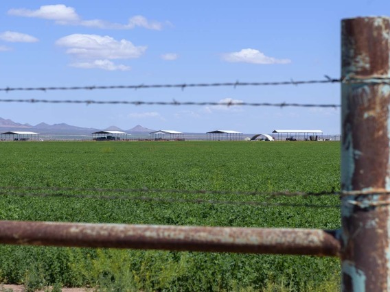 Many agriculture laborers cross the border daily to work on U.S. farms, including here in Douglas, Arizona, which has less than a quarter the population of Agua Prieta, Sonora, the town that lies immediately south in Mexico. 