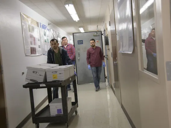 Biorepository lab technicians use a cart to move boxes of sample collection kits to deliver to Banner-University Medical Center Tucson. 