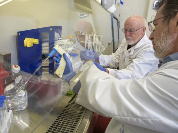 David Harris, PhD, MS, director of the University of Arizona Biorepository, and Michael Bawdowski, PhD, associate research scientist, prepare COVID-19 sample collection kits.