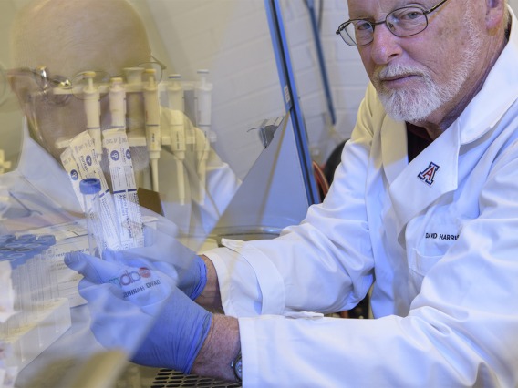 David T. Harris, PhD, holds up items from a sample collection kit under a serial hood.