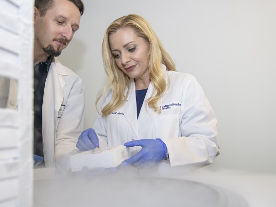 Drs. Herbst-Kralovetz and Łaniewski select cells preserved through cryopreservation, a technique that can freeze cells without damaging them.