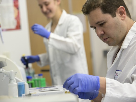 Postdoctoral fellow Jason Maarsingh, PhD (foreground), and undergraduate Mary Salliss work to find the link between the vaginal microbiome and gynecologic cancer.