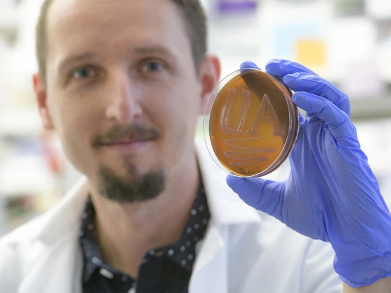 Paweł Łaniewski, PhD, department of Basic Medical Sciences for the University of Arizona College of Medicine – Phoenix, shows off his school spirit in the form of bacteria on a plate.