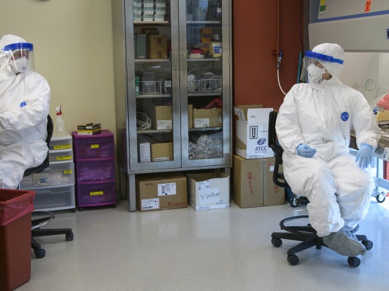 Researchers wear personal protective equipment and work six feet apart to protect themselves and one another from the spread of the virus that causes COVID-19.