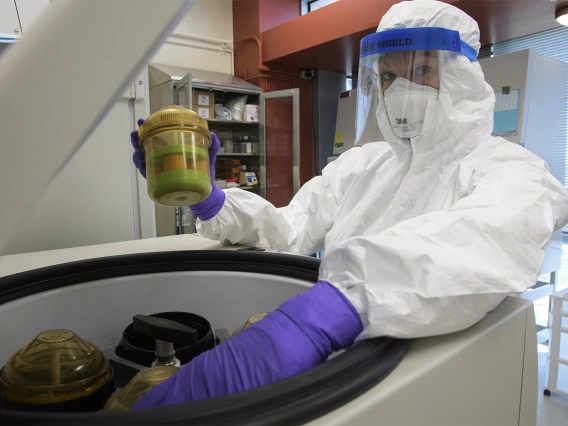 Jennifer Uhrlaub, associate research scientist and laboratory manager in the Janko Nikolich-Zugich lab, loads samples into centrifuge in the Biosafety level 3 lab in April.