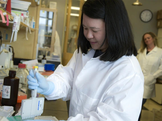 Rachel Wong, a graduate trainee in the Bhattacharya Lab is pictured validating the COVID-19 antibody test. 