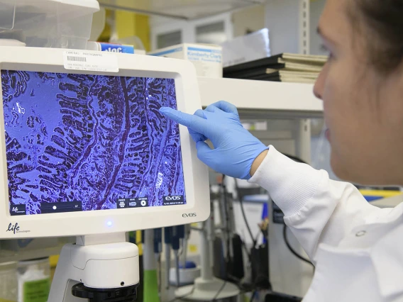 Data science fellows apply the technical training they learn through the year-long program to the research they are doing in the laboratory.