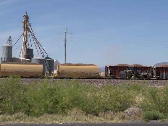A train hauls grain by a farm near the community center in Aguila, Arizona, the site of a MOVE UP clinic to get COVID-19 vaccines to hard-to-reach rural and underrepresented populations.