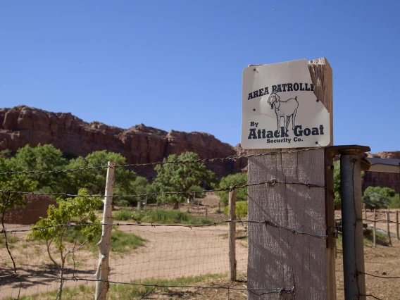 The rural Navajo Nation has been hit hard by the COVID-19 pandemic, and several University of Arizona Health Sciences efforts have gathered food, cleaning supplies and medical equipment to support efforts to contain the outbreak in northern Arizona.