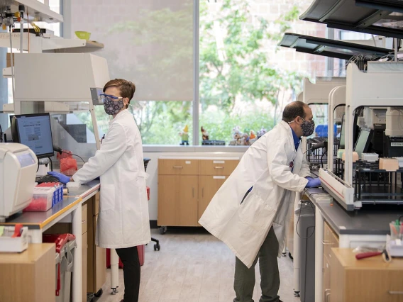 Barbara Fransway (left), manager of University of Arizona Genetics Core Research Services, transfers blood serum to testing plates as Matthew Kaplan, manager for University of Arizona Functional Genomics Core, evaluates the Biomek robot prior to performing antibody testing.