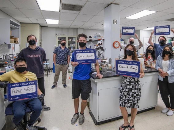 Researchers from the Chapman and Zhang labs in the Department of Pharmacology and Toxicology.