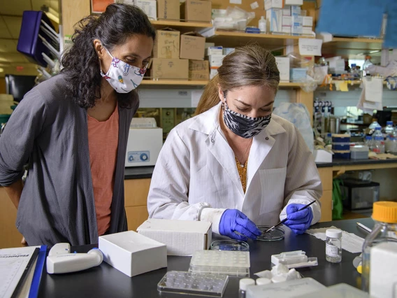 A unique National Institutes of Health-funded training program helps prepare UArizona Health Sciences students for careers that have a significant impact on understanding the biology of infection and inflammation as drivers of aging.