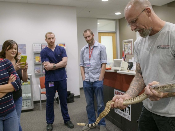 Erika Grasse (front left) keeps her distance as venomous reptile curator Dan Massey, PharmD, BCPS, shows her how to identify a Western Diamondback rattlesnake at the Arizona Poison and Drug Information Center (AzPDIC) located in the College of Pharmacy. 