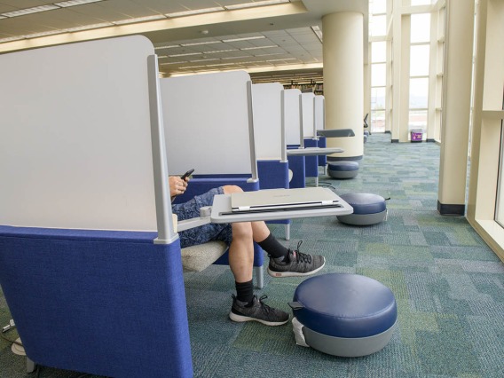 While there is only one pea in this pod, there are several pods available on the third floor of the Health Sciences Library on the Tucson campus, where a comfortable seat, desktop and footstool make for a semi-private space to study, or just catch up on social media. 