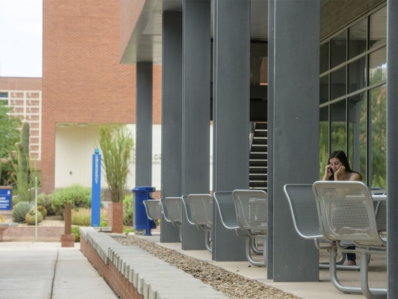 The western porch along the ground-floor of Drachman Hall has several tables and chairs tucked in the shade of the building. You have a good view of the busy bike- and pedestrian-ways that pass through the Tucson campus from here. 