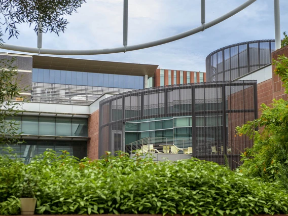 If right angles aren’t your thing, you may find the sweeping curves of the Medical Research Building’s balcony on the Tucson campus to your liking. You’ll be able to watch the clouds drift by through the white metal and shade-sail structure over the courtyard. 