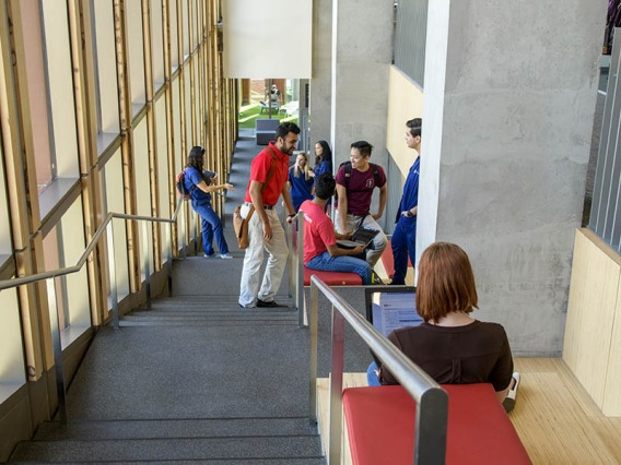 The eastern stairway between the fourth and sixth floors in the Health Sciences Innovation Building has a built-in seating areas with a view. Each padded seating area is also equipped with electrical outlets. 
