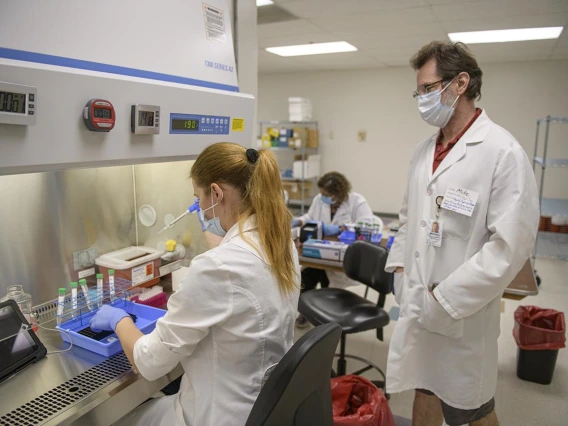 Research technician Anete Milkovica processes samples for testing. 