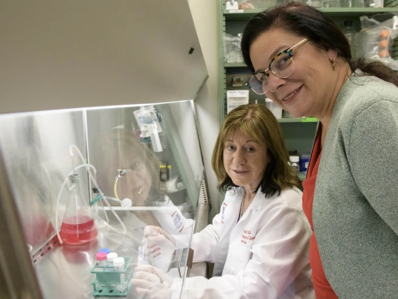 Nancy K. Sweitzer, MD, PhD, director of the Sarver Heart Center (right) and Carol Gregorio, PhD, co-director of the Sarver Heart Center, view collaboration across disciplines as key to future success for the center.