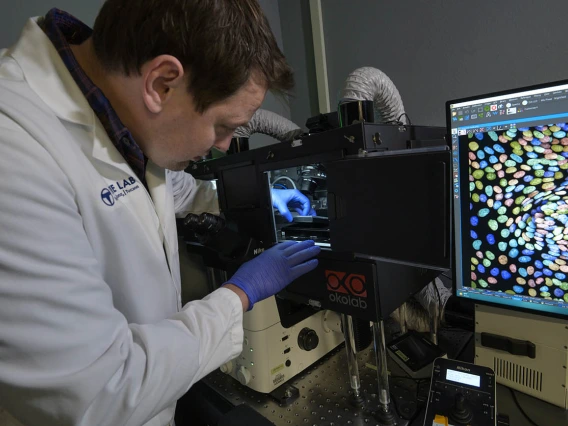 Organoids are miniature tissues or tumors grown in the laboratory that provide scientists with a more realistic model to design therapeutics for hard-to-treat cancers and rare diseases.  