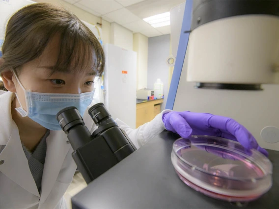A Health Sciences strategic initiative is allowing postdoctoral researchers like Yeucheng Xi, PhD, to pursue work to create defenses against disease.