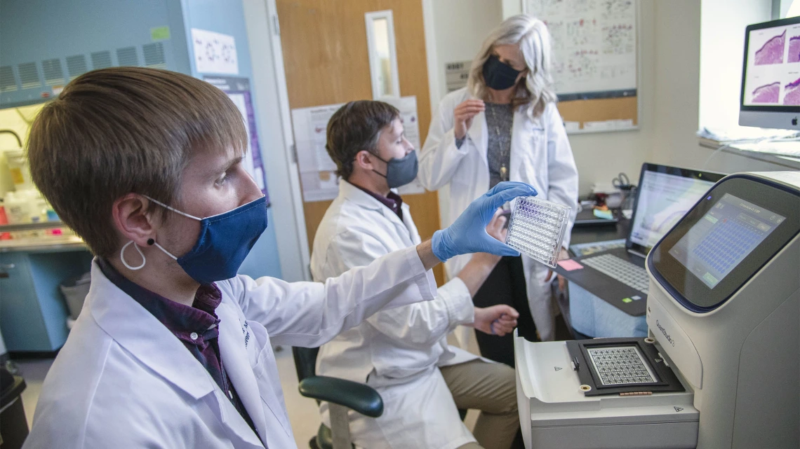 The team of third-year doctoral student Dakota Reinartz, Justin E. Wilson, PhD, and Julie E. Bauman, MD, MPH, is investigating the link between inflammation and cancer.