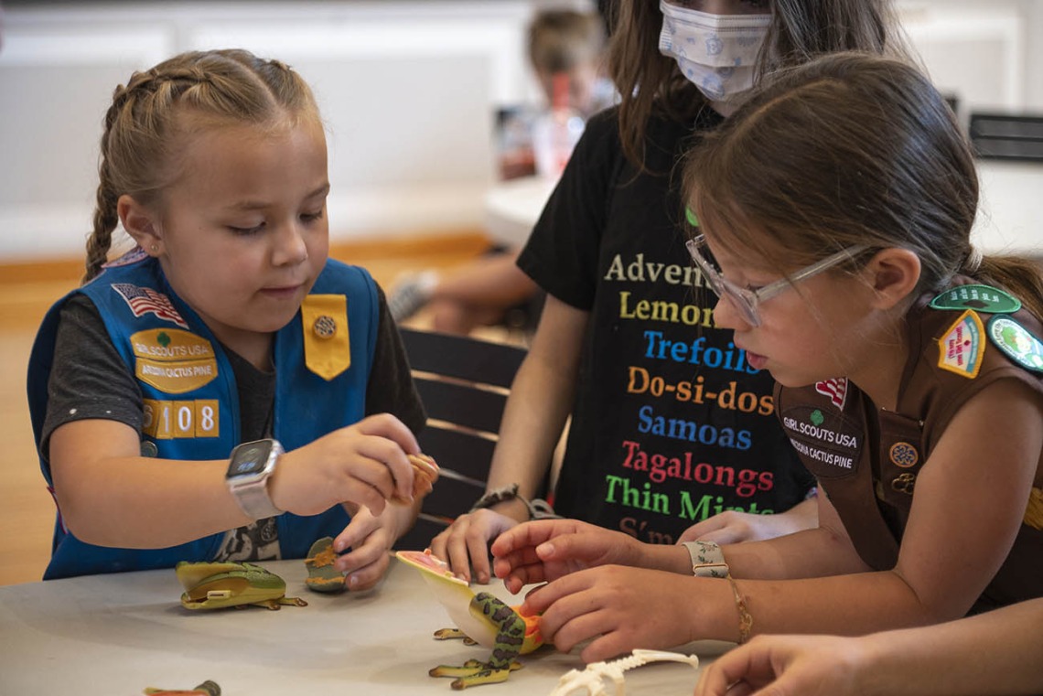 Two young girl scouts in uniforms sit at a table doing an anotomic 3-D frog puzzle. 