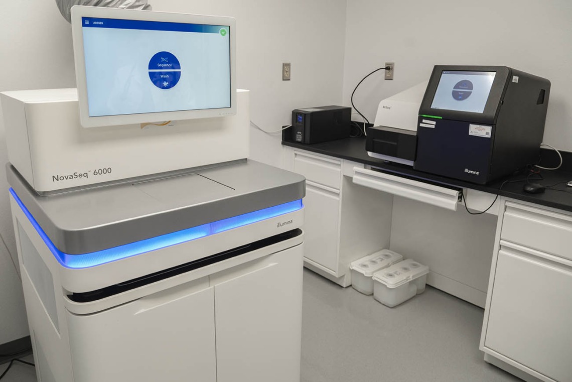 A new state-of-the-art genome sequencing machine will allow the PANDA Core for Genomics and Microbiome Research to expand high-throughput sequencing capacity not only for researchers at the University of Arizona Health Sciences, but also for scientists throughout the state.