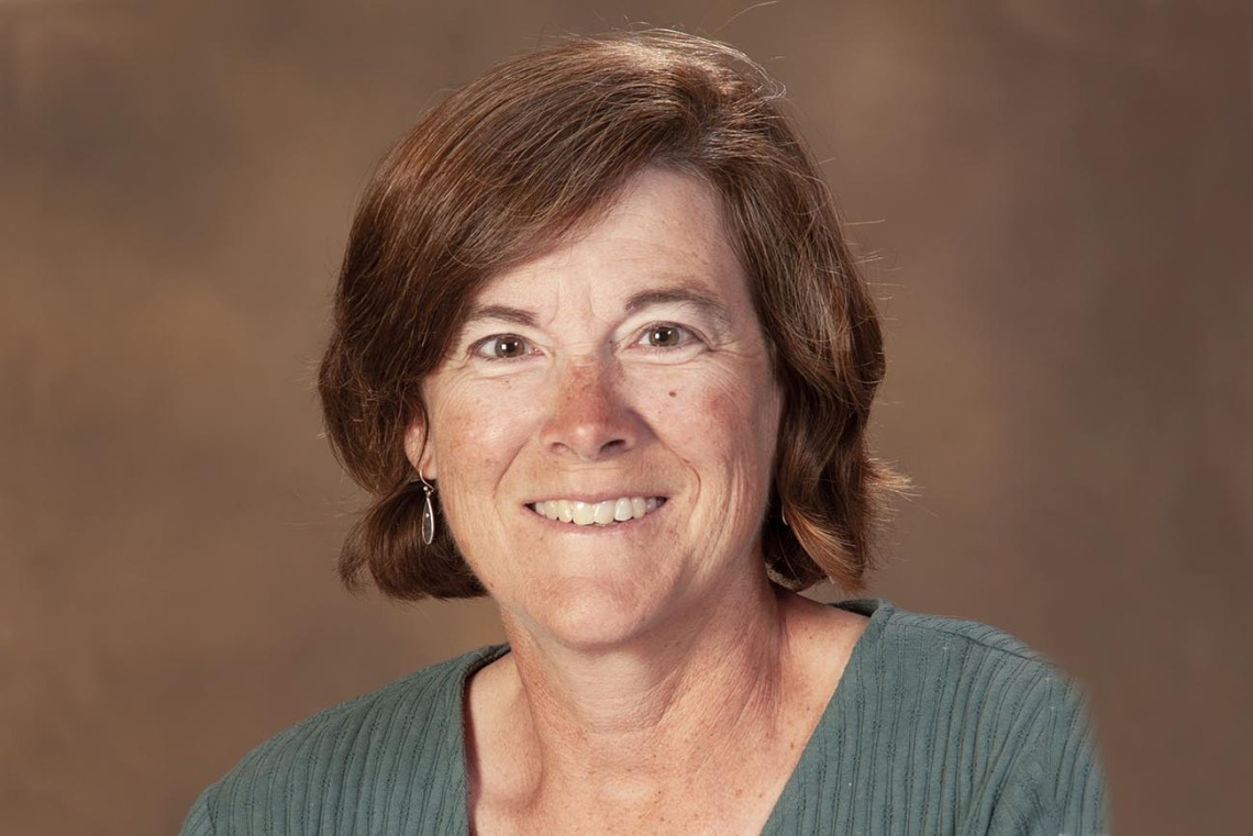 Denise Roe, DrPH, is director of Biometry and a professor of biostatistics in the Epidemiology and Biostatistics Department.