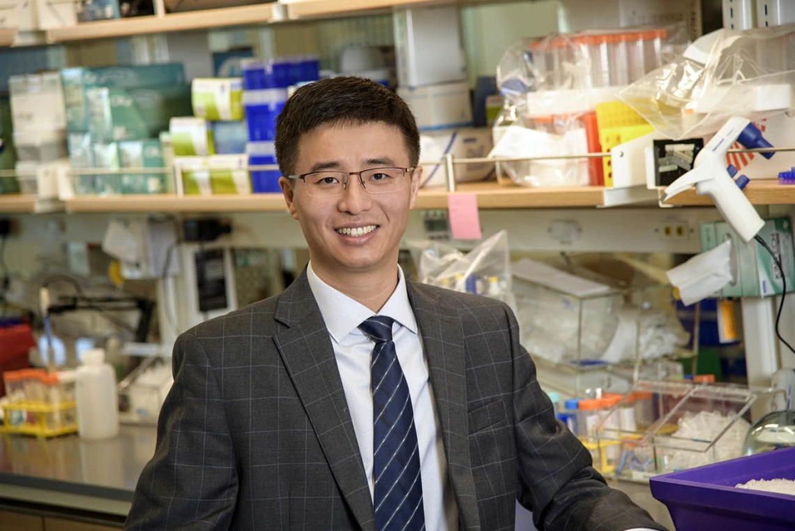 Fei Yin, PhD, will use a new NIH grant to continue his study of the Alzheimer’s risk gene ApoE4 and its effect on lipid homeostasis in the brain. 