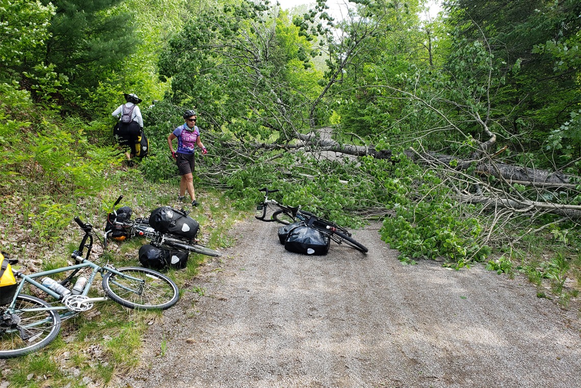 Eve Shapiro and Sally Krusing look for a good way to get people and bikes around a downed tree that blocks the bike route in Minnesota.