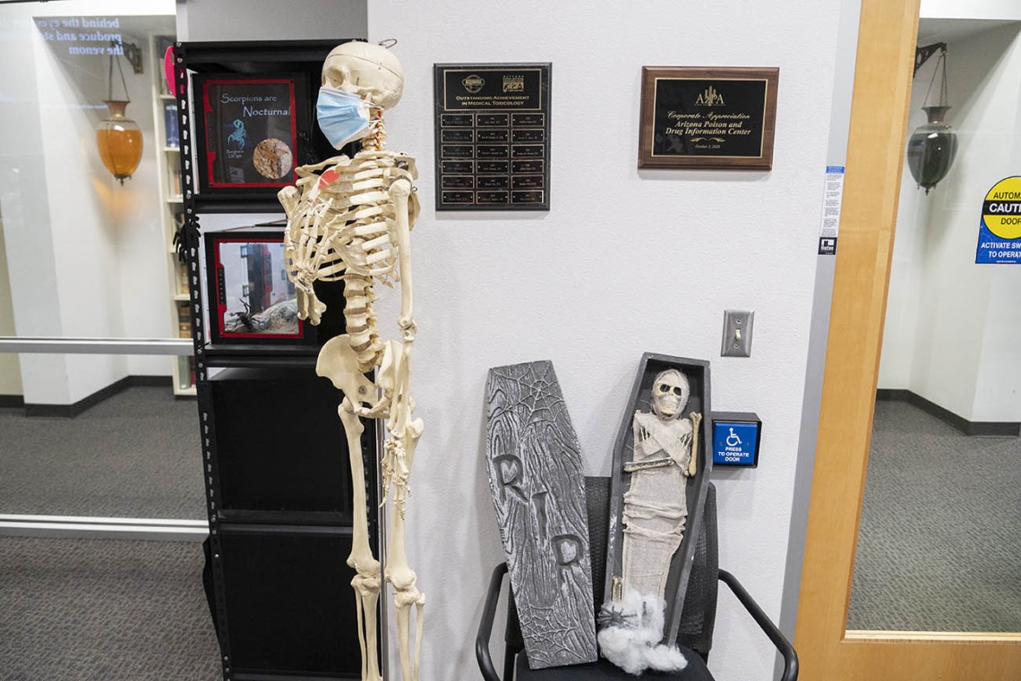 A full size skeleton and a small mummy in a coffin stand in an entryway to an office. 
