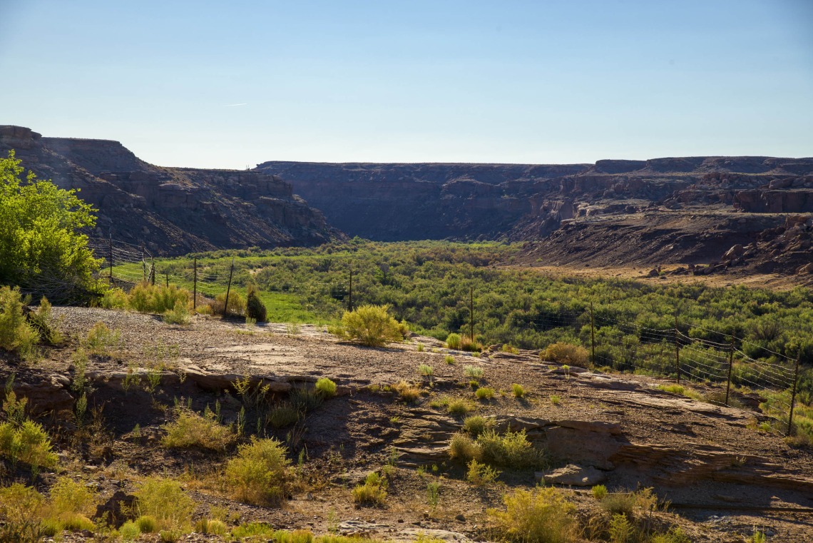 A landscape portrait of Arizona desert scenery