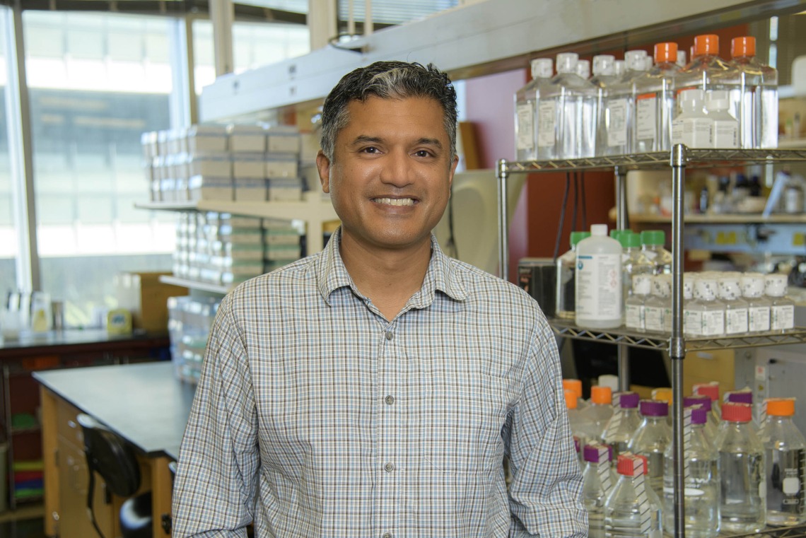 Aportrait of deepta bhattacharya in his research laboratory at the University of Arizona Health Sciences
