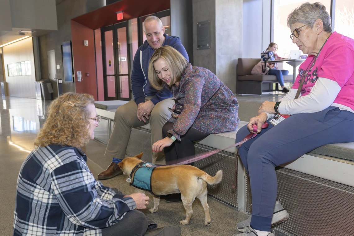 Several people sit on the floor and a low bench petting a small yellow dog. 