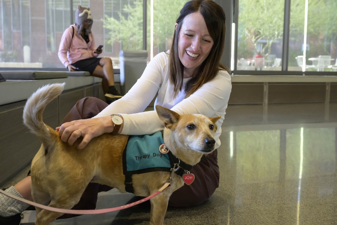 A smiling woman sits on the floor and scratches the back of a small, light-haired dog that is wearing a green harness. 