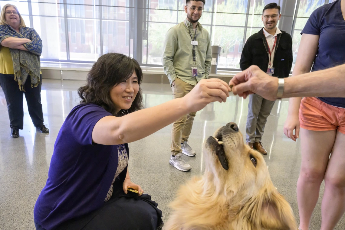 A kneeling woman reaches out to someone who is handing her a dog treat as a golden retriever looks up. 