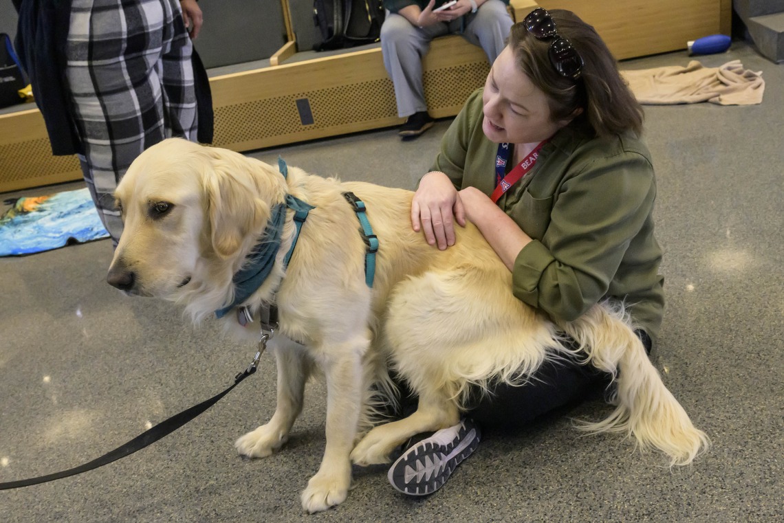 A woman sits on the floor while a large golden retriever sits on her lap. 