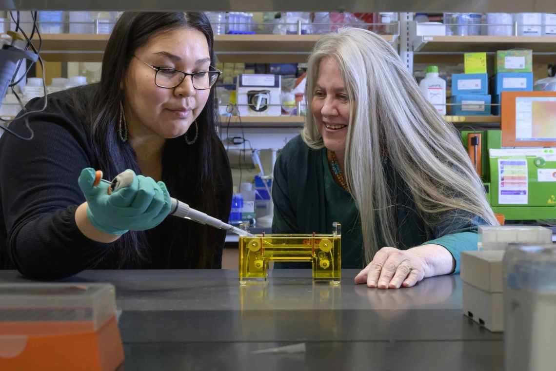 doctoral student and faculty mentor in a University of Arizona Health Sciences research laboratory
