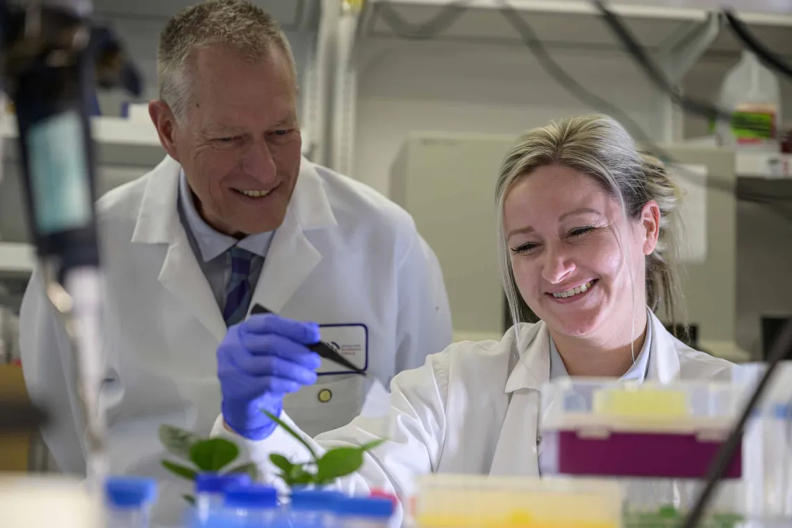 Two scientists in white lab coats look at small plants as they are surrounded by lab equipment. 