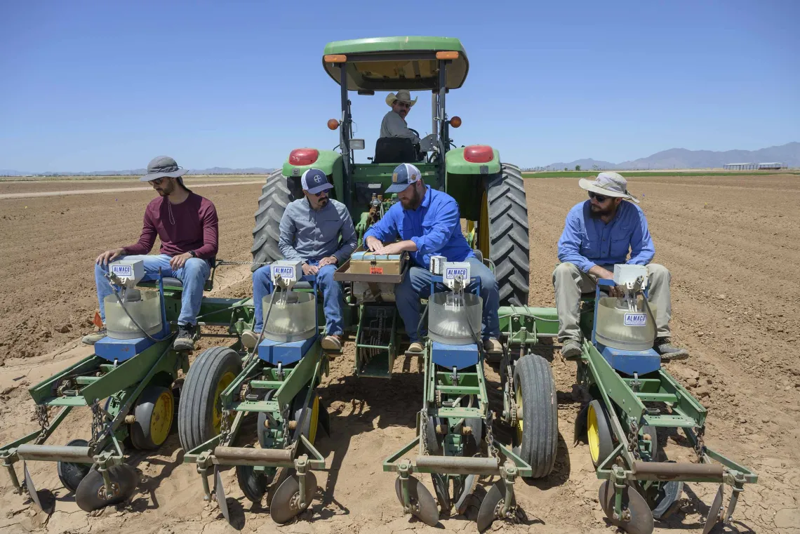 team planting tepary beans with tractor