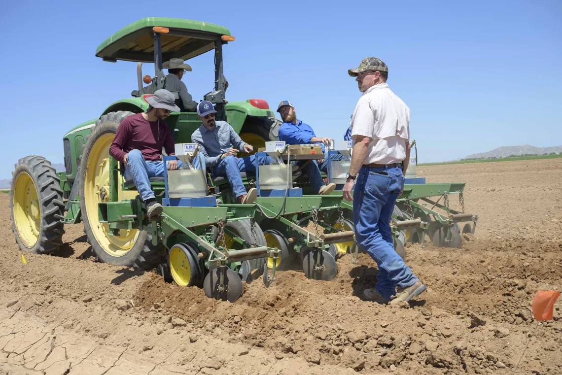 people planting tepary beans using a tractor and row crop planting machinery   