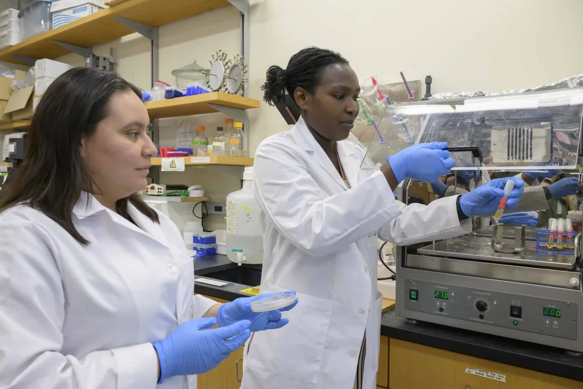 Researchers working in a laboratory 