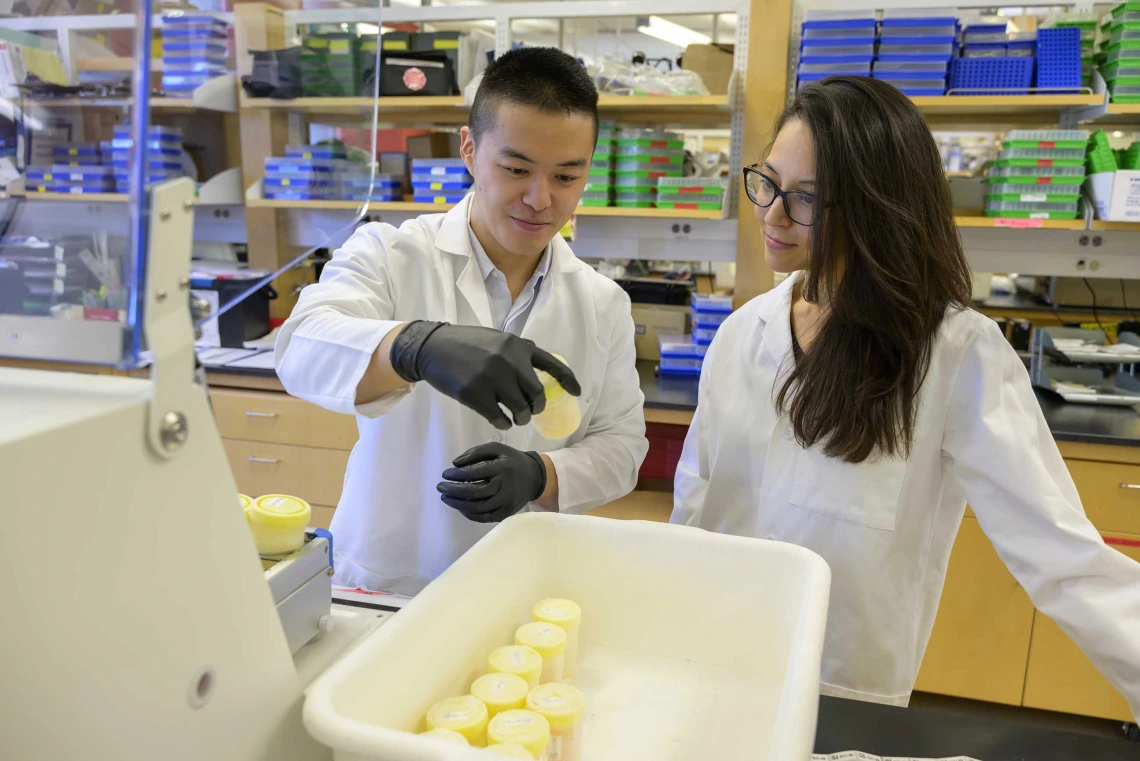 A graduate student and a faculty member examine labels on containers  in a lab