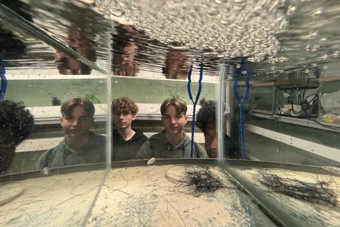 Three students look into a fish tank with air bubbles and their reflections. 