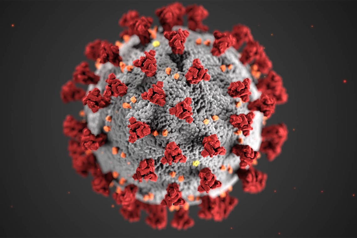 This illustration reveals ultrastructural morphology exhibited by coronaviruses. A novel coronavirus, named Severe Acute Respiratory Syndrome coronavirus 2 (SARS-CoV-2), causes coronavirus disease 2019 (COVID-19). (Image: U.S. Centers for Disease Control and Prevention)