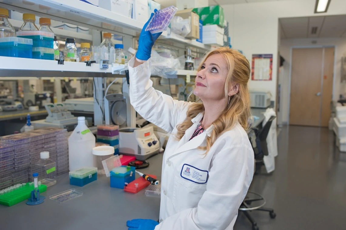 Dr. Herbst-Kralovetz is an associate professor in the departments of Basic Medical Sciences and Obstetrics and Gynecology at the UA College of Medicine – Phoenix